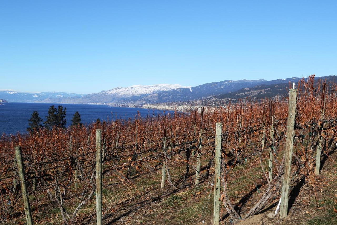 Sunshine And Wine Loft Hotell Penticton Eksteriør bilde