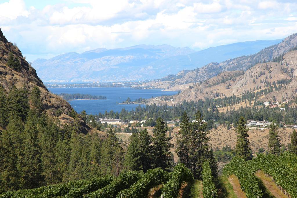 Sunshine And Wine Loft Hotell Penticton Eksteriør bilde