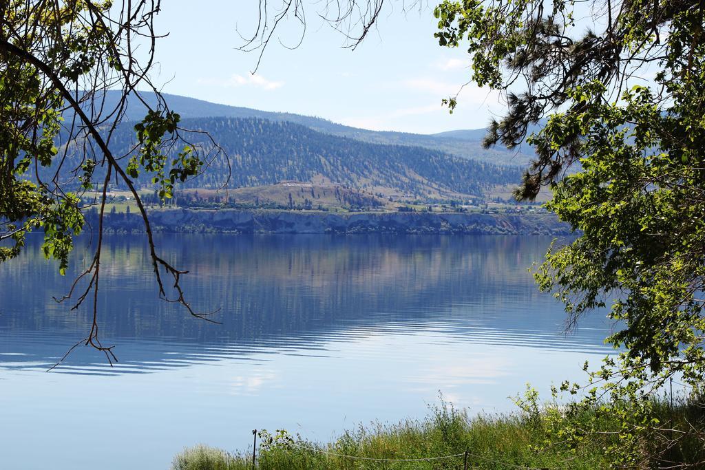 Sunshine And Wine Loft Hotell Penticton Eksteriør bilde